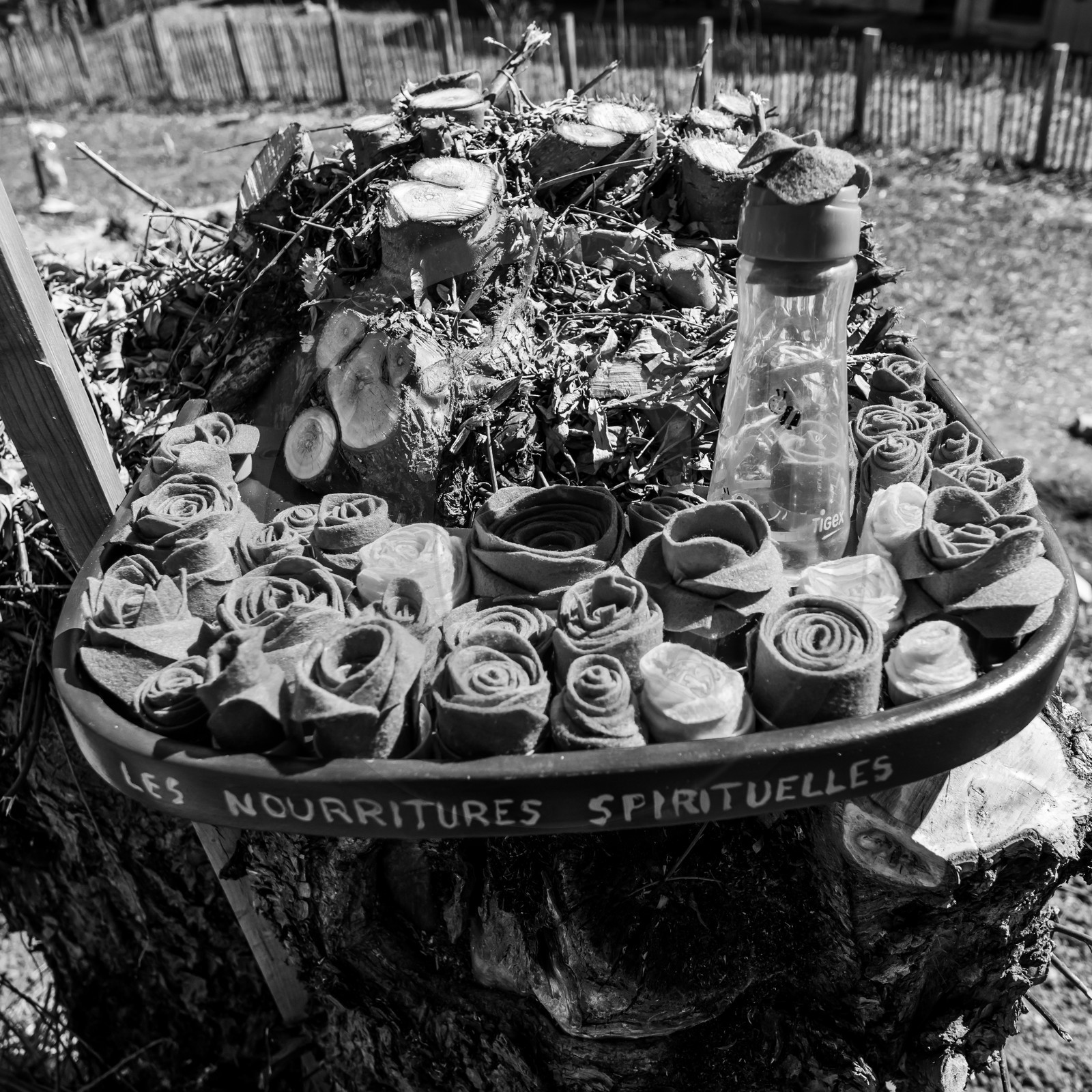 20 mars 2018 : une après-midi au jardin