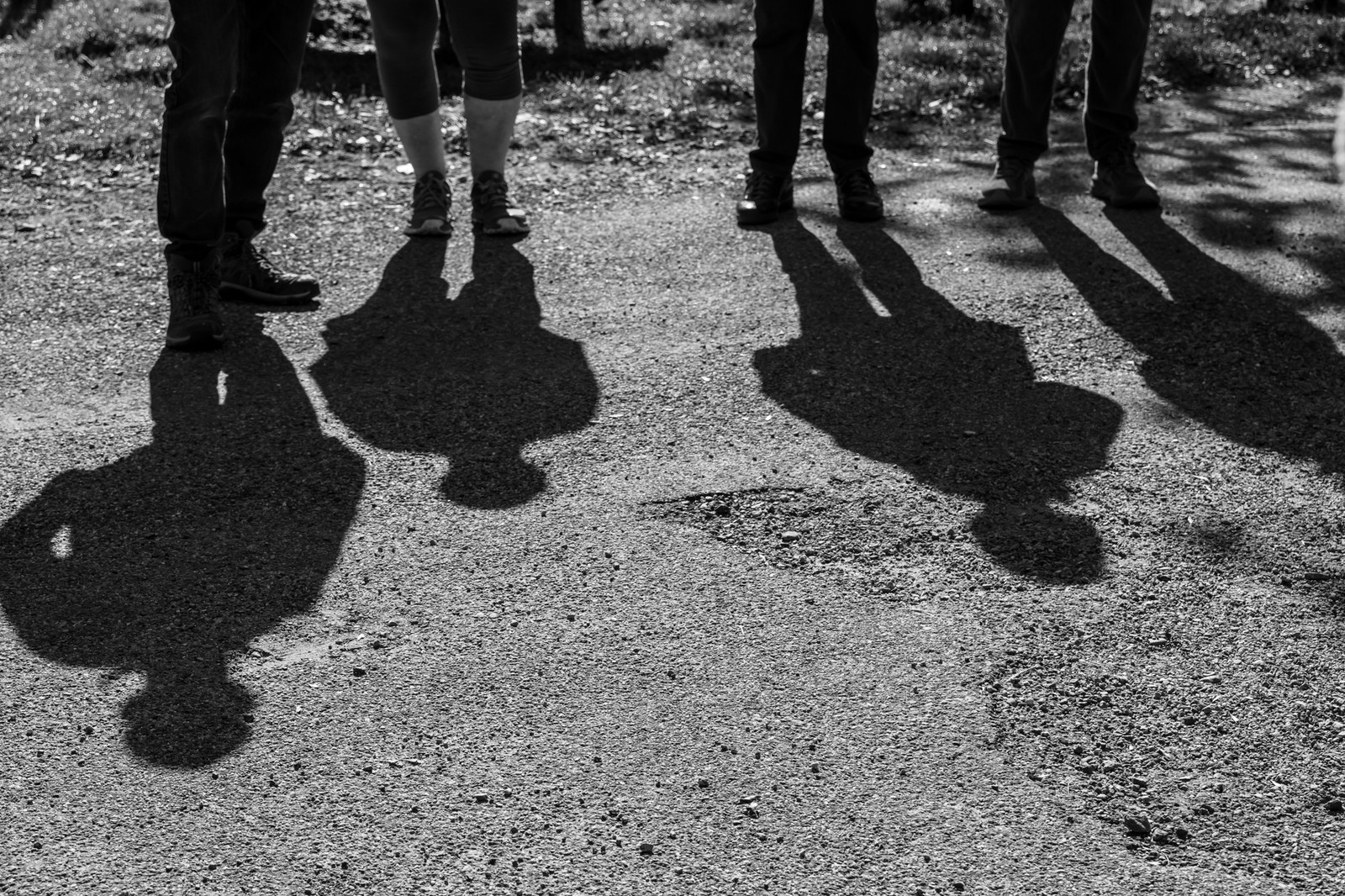 10 octobre 2025 : Journée des aidants