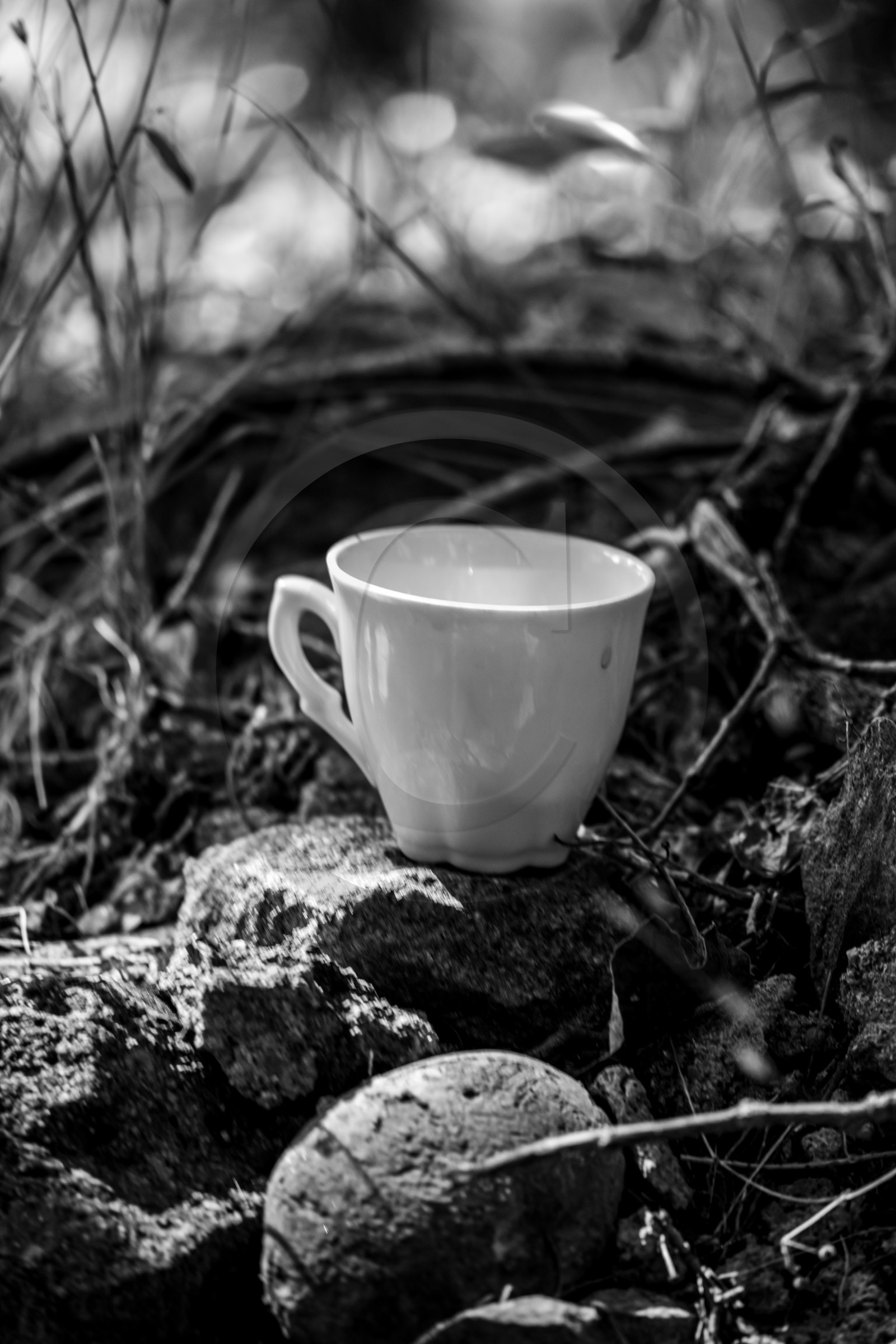 23 aout 2024 : Journée des aidants, aidés et anciens aidants