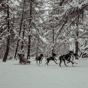 La Valgaude Traineau 2015