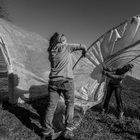 Montage de serres tunnel