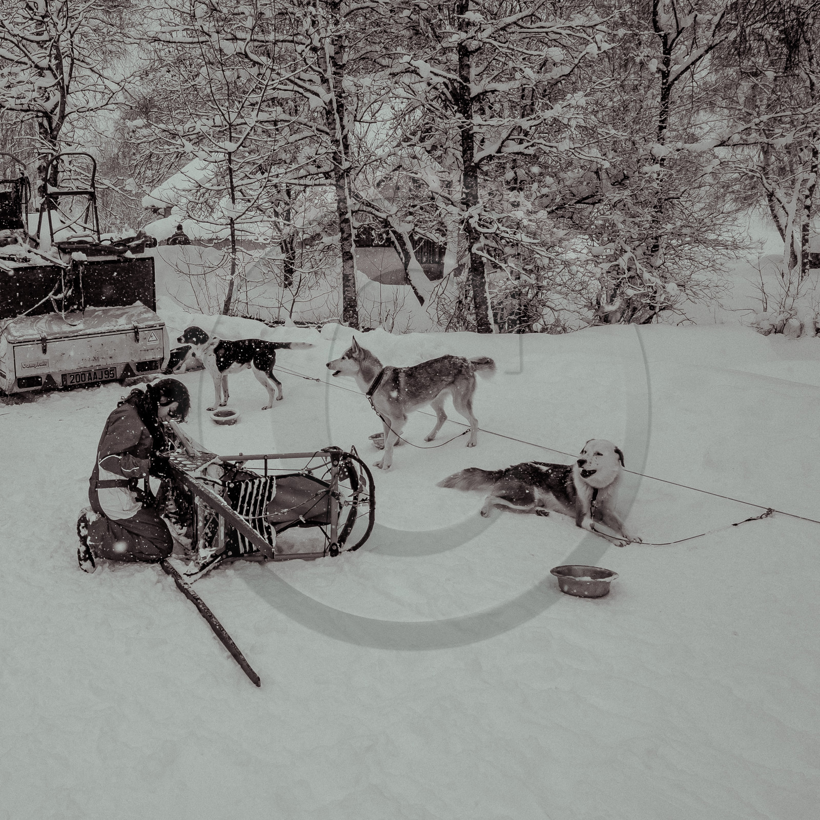 La Valgaude Traineau 2015 La Valgaude Traineau 2015