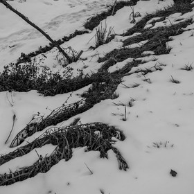 21 janvier 2021 : l'Ouort sous la neige