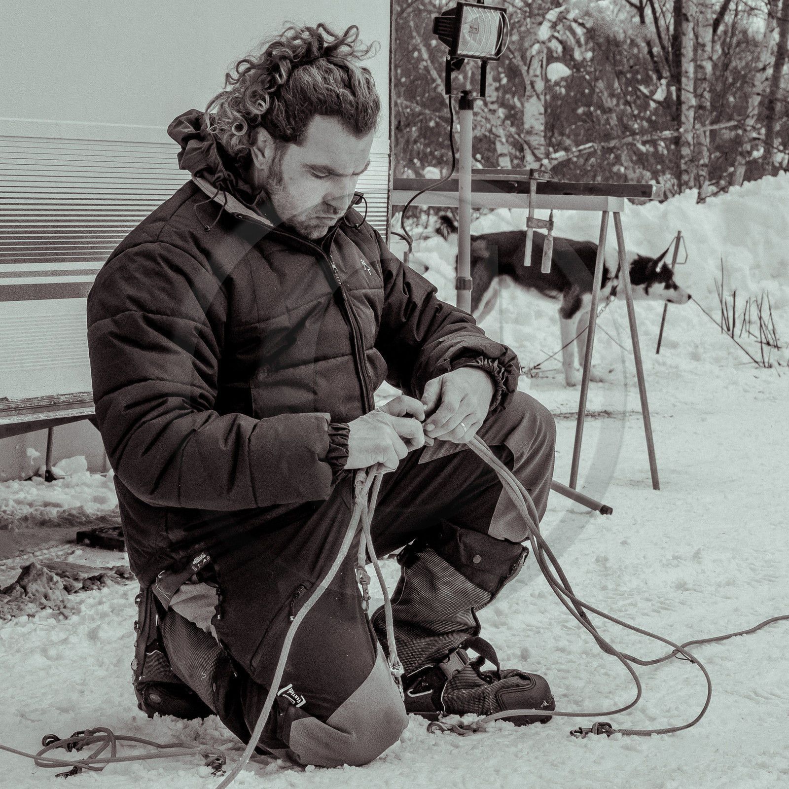 La Valgaude Traineau 2015