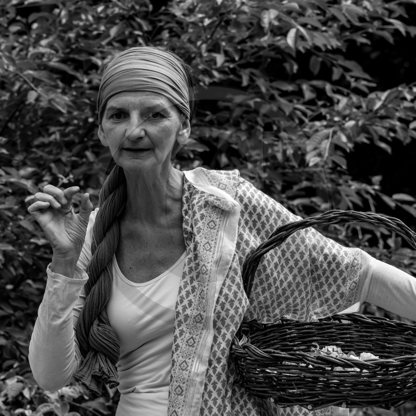 14 juillet 2021 : Lumema danse 14 juillet 2021 : Lumema danse