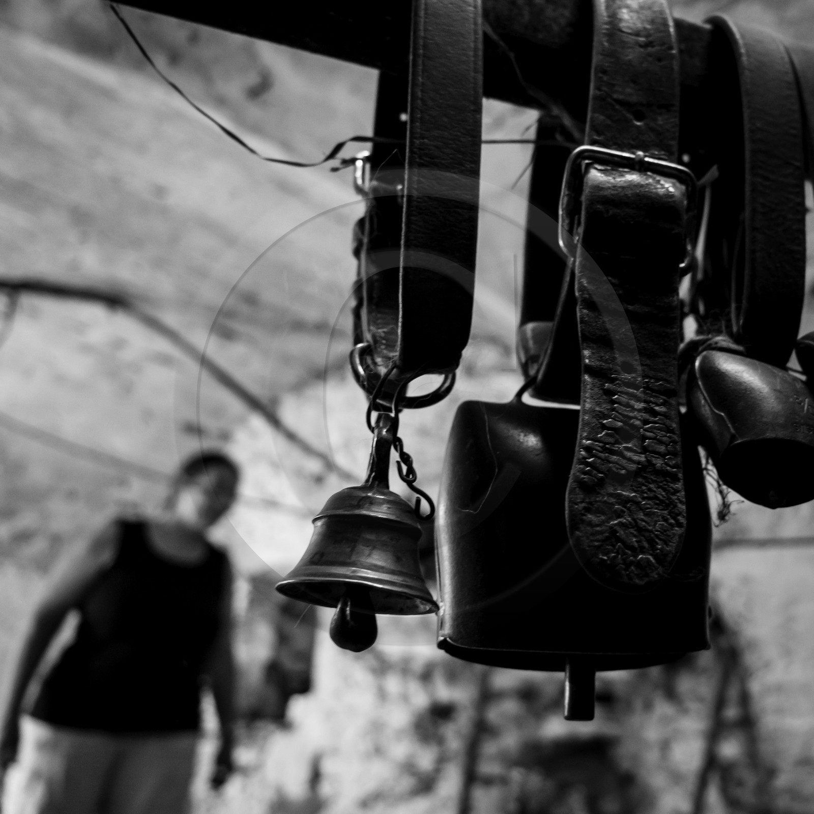 Le mohair arc en ciel Le mohair arc en ciel