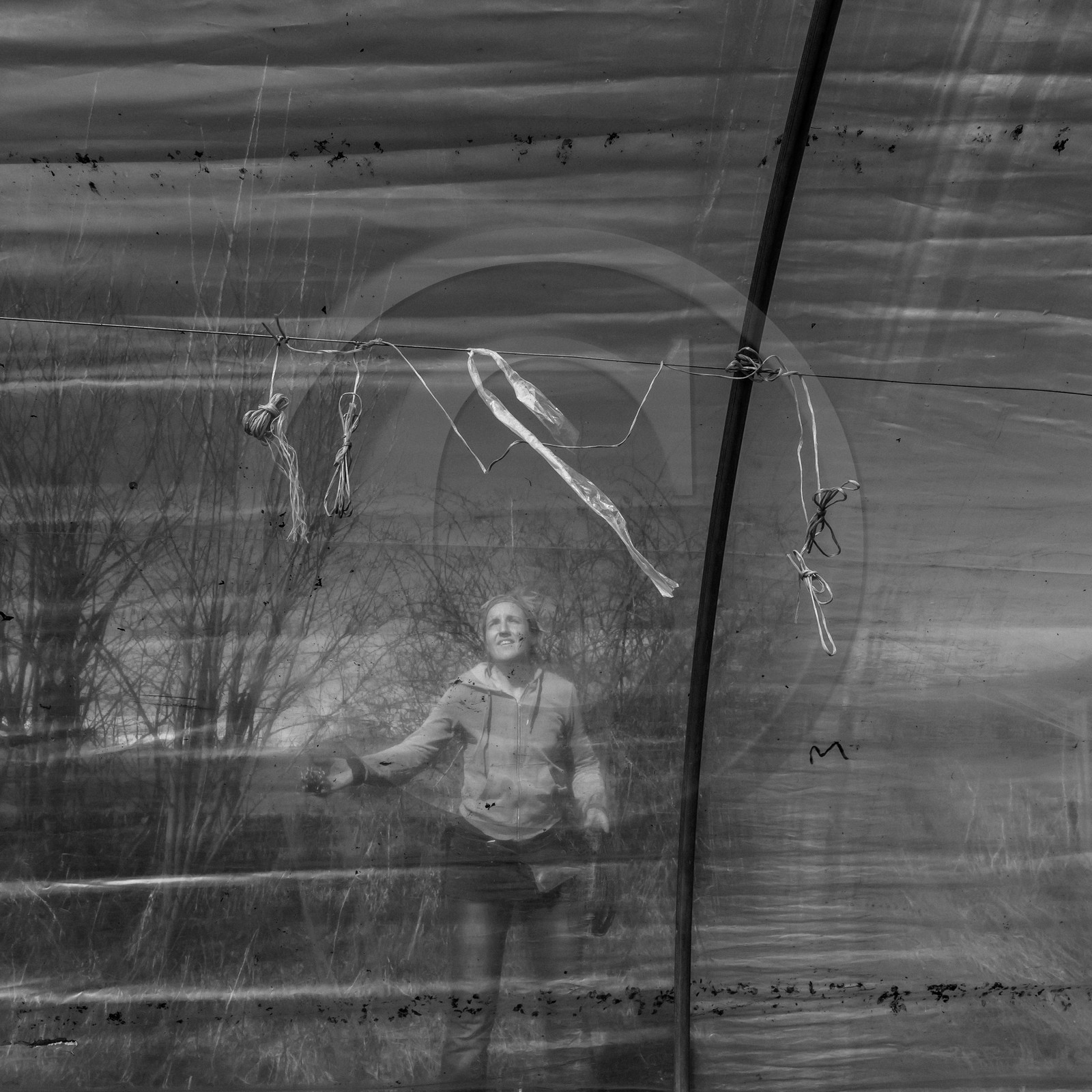 Montage de serres tunnel