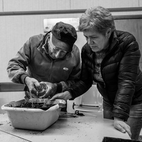 Atelier repiquage et semis - 26 04 2017