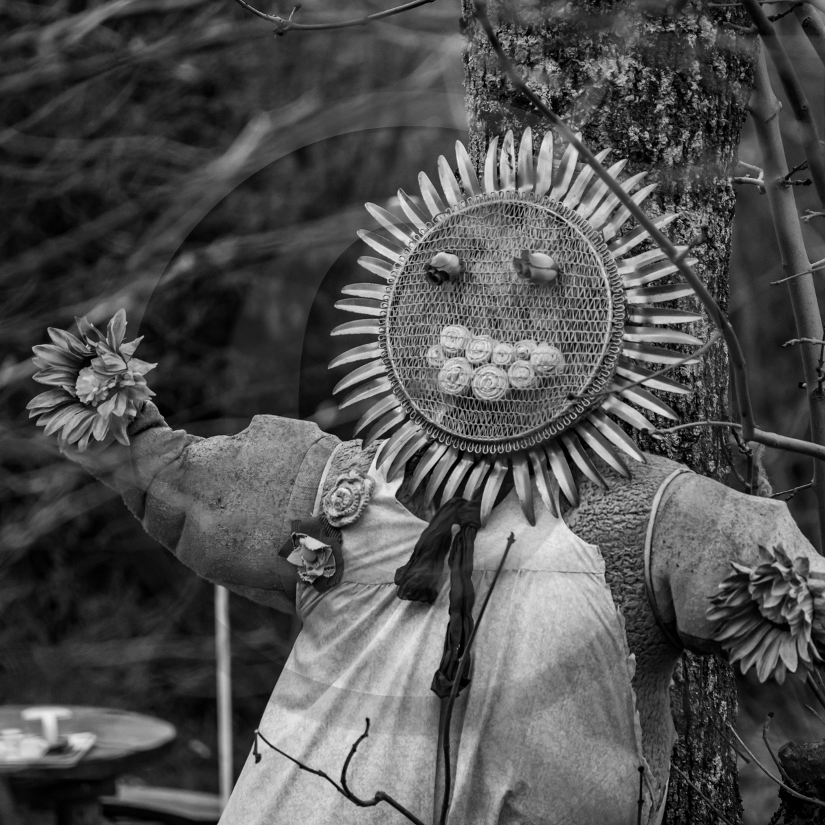 20 avril 2022 : des contes, des pommes de terre et un petit café