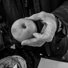 05 novembre 2022 : des pommes et des soupes