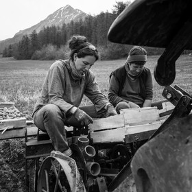 La plantation des pommes de terre