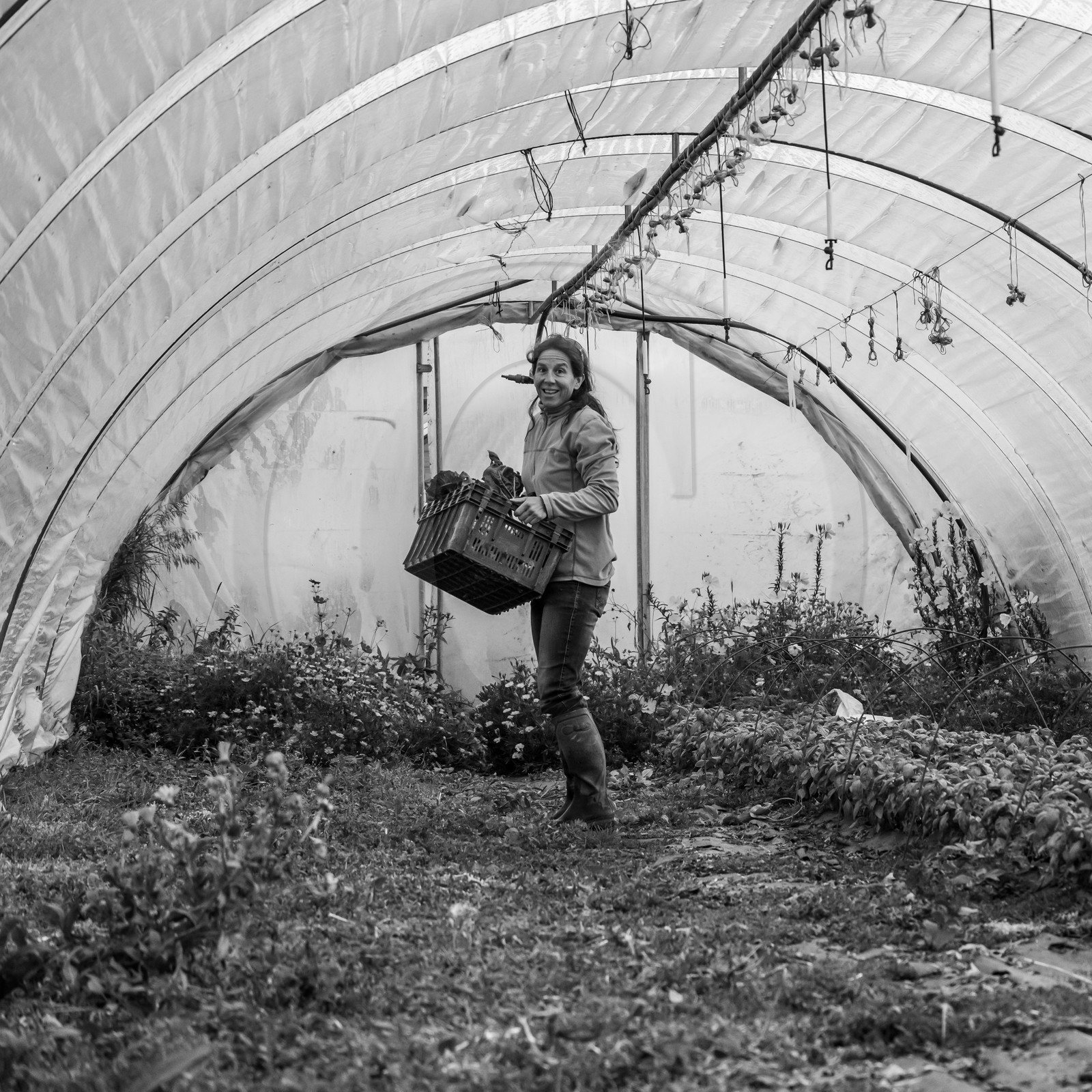 Maraichage biologique dans le Champsaur