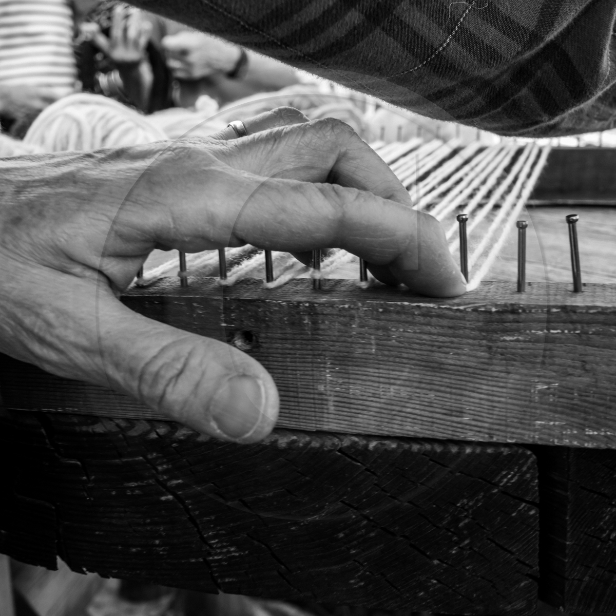 Atelier laine et promenade au jardin