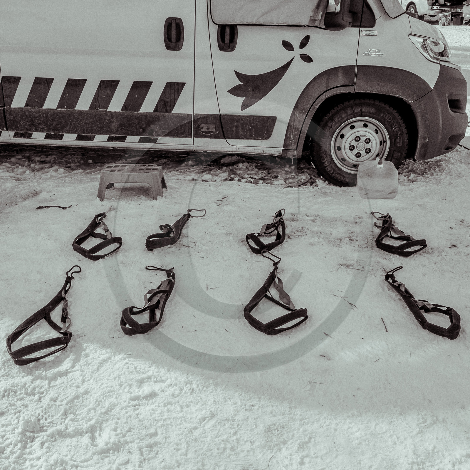 La Valgaude Traineau 2015