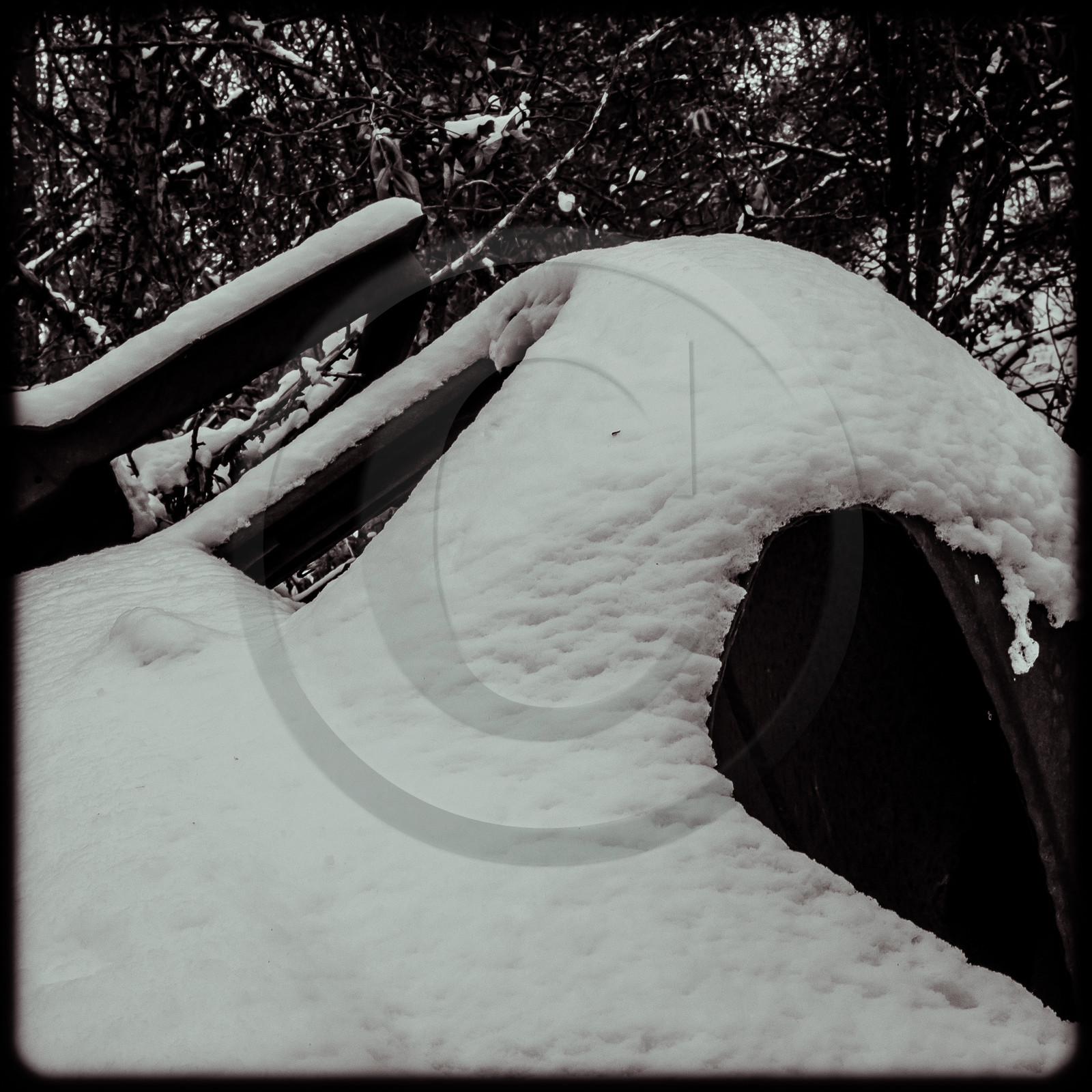 Un cimetière de voitures