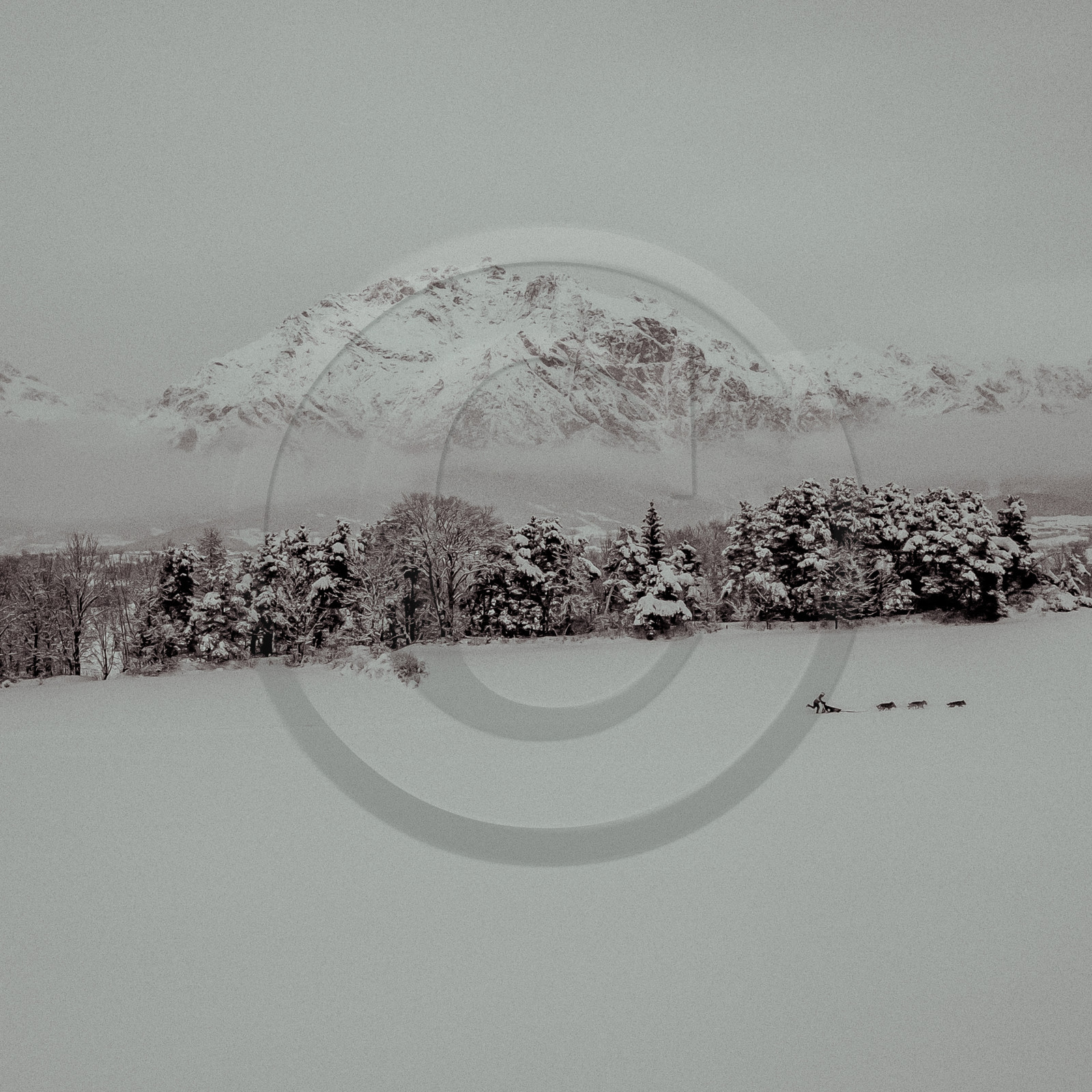 La Valgaude Traineau 2015 La Valgaude Traineau 2015