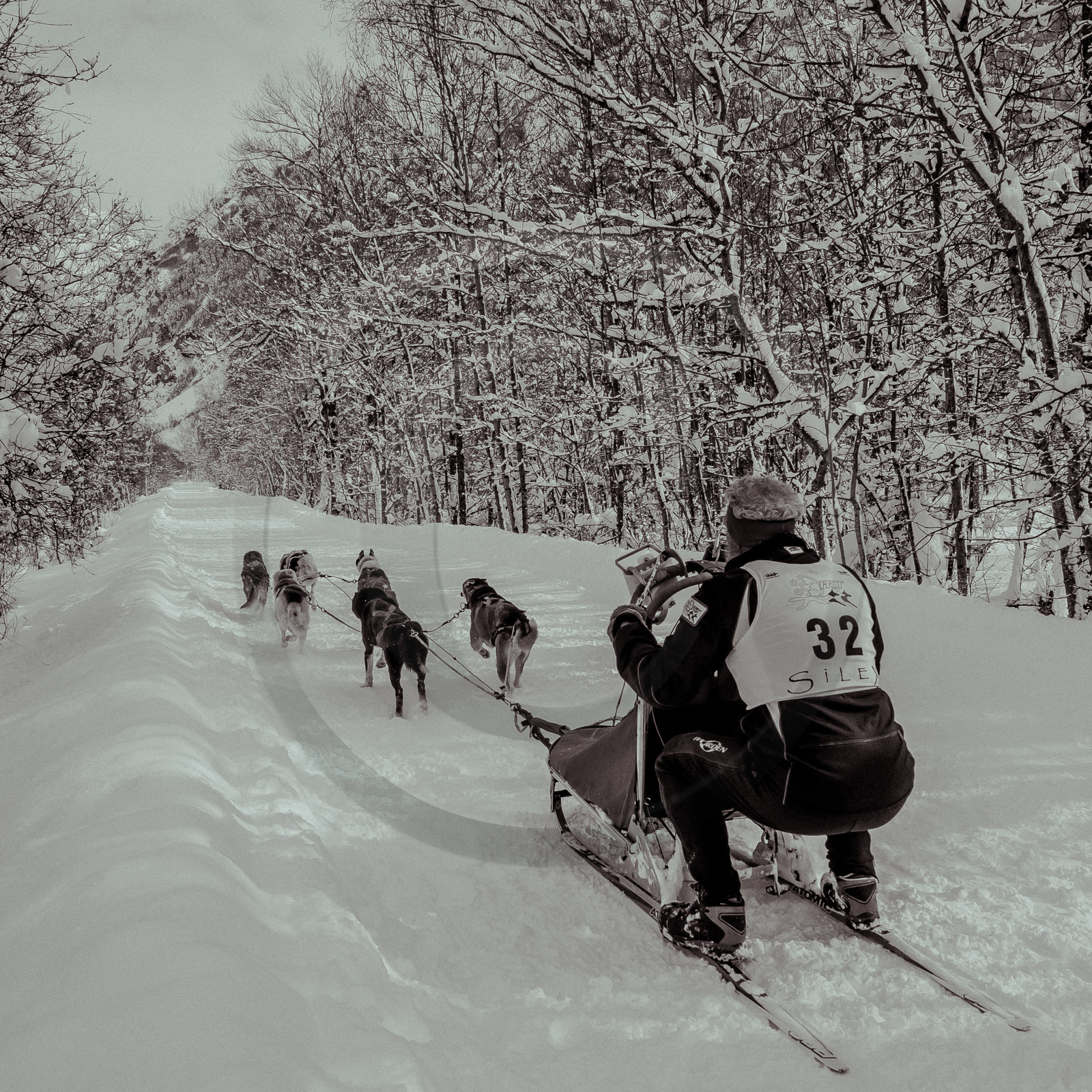 La Valgaude Traineau 2015