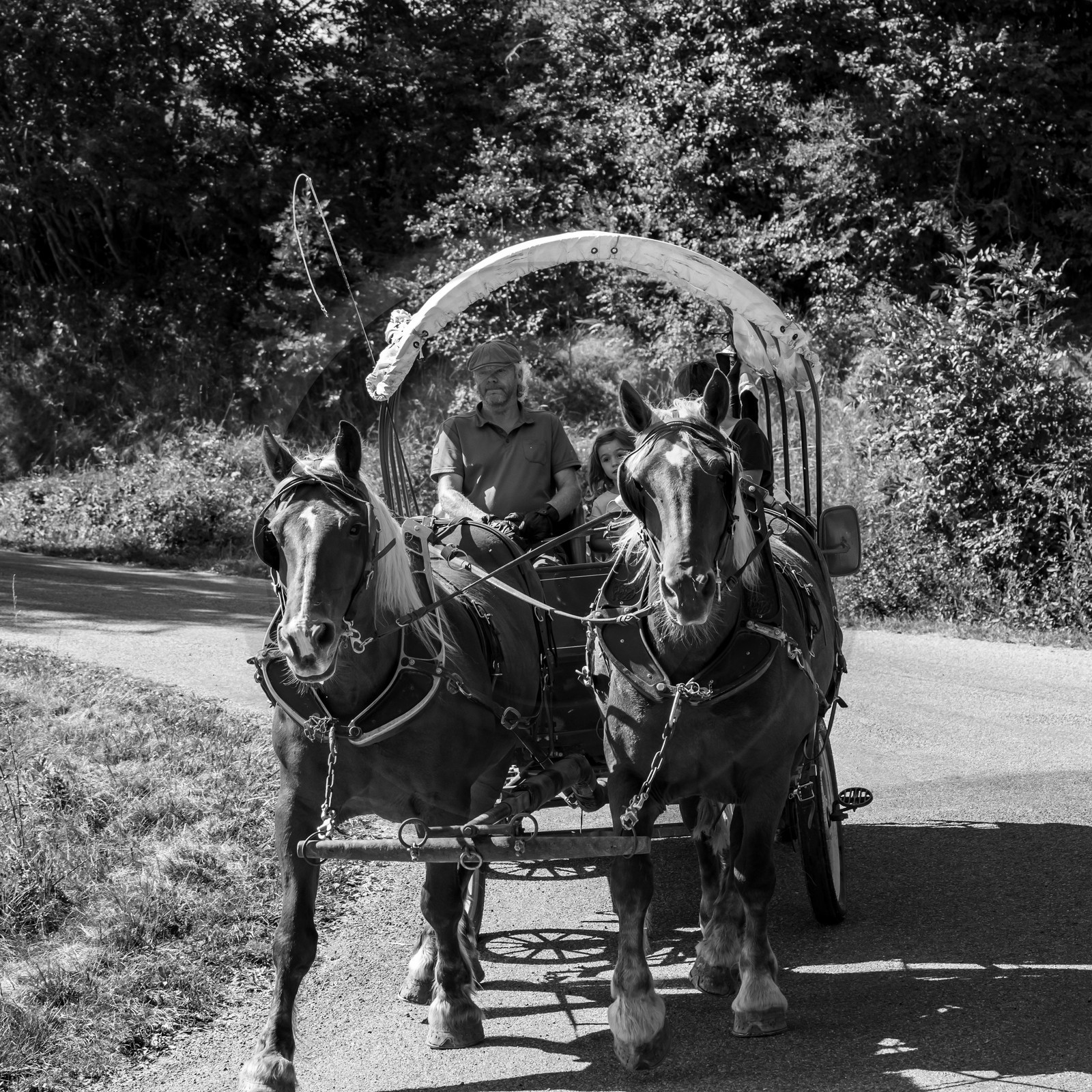 01 septembre 2021 : Promenade en cariole et contes
