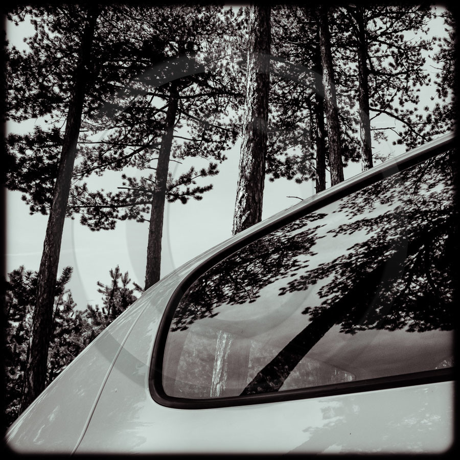 Promenade en forêt Promenade en forêt