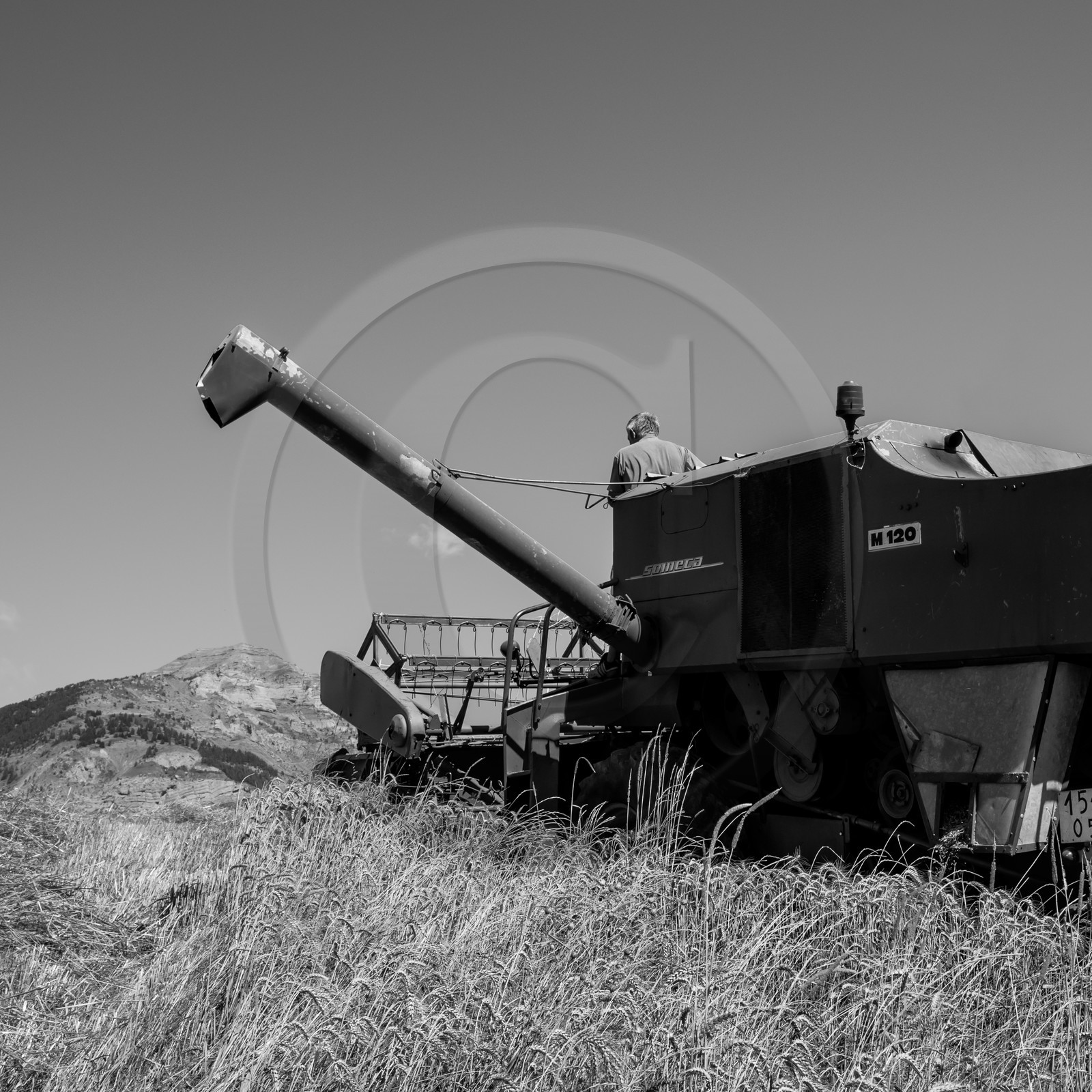 Les moissons dans le Champsaur