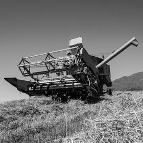 Les moissons dans le Champsaur