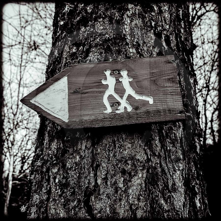 Promenade en forêt