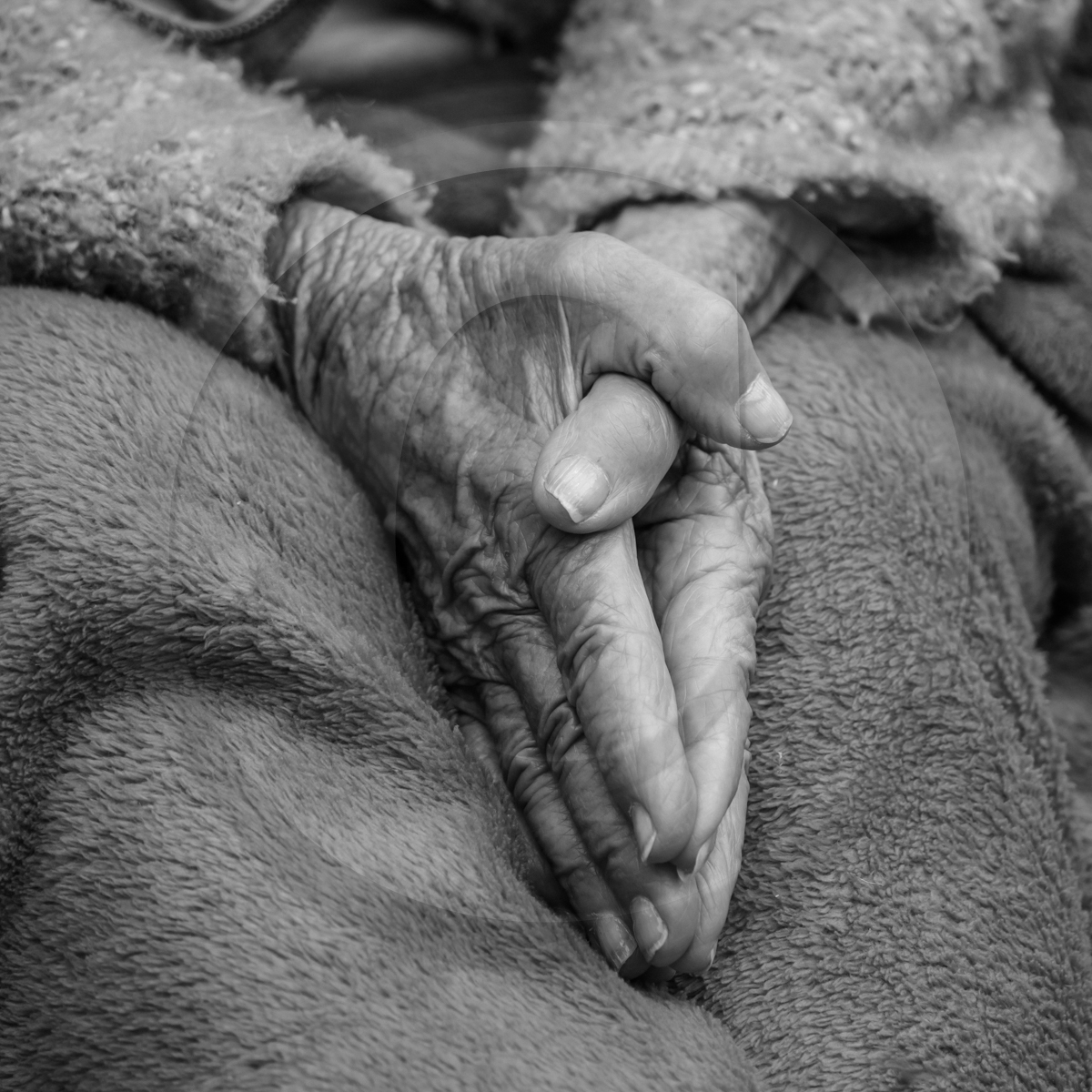 10 juin 2022 : 3ème journée des aidants