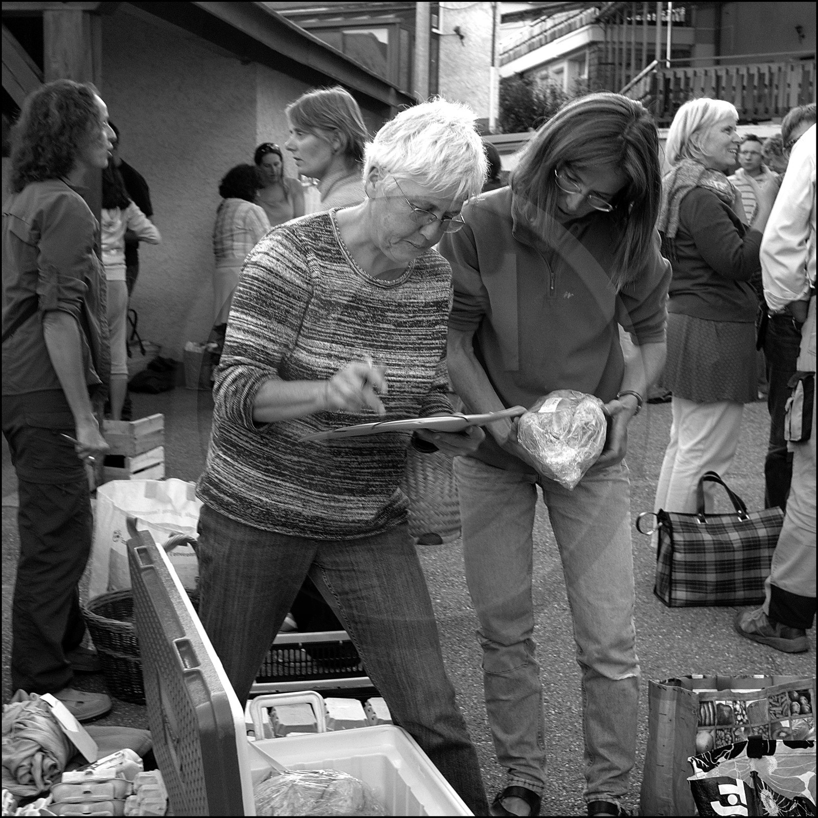 Distribution à l'AMAP du Champsaur