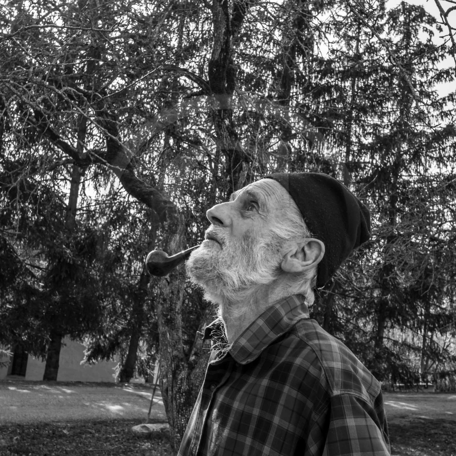 24 février 2021 : on taille, on prépare le jardin...