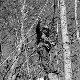 Elagage - 08 03 2017