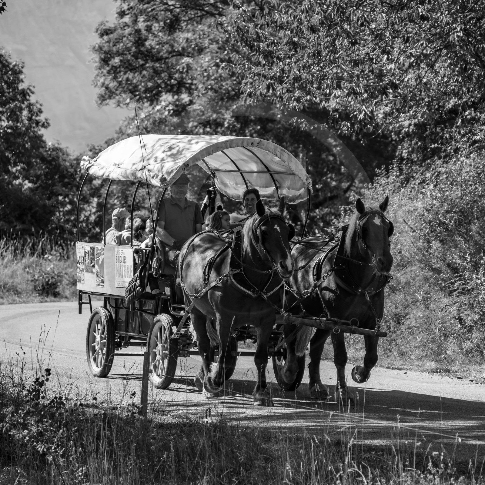 01 septembre 2021 : Promenade en cariole et contes