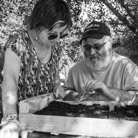 06 septembre 2023 : laine, couture et semis