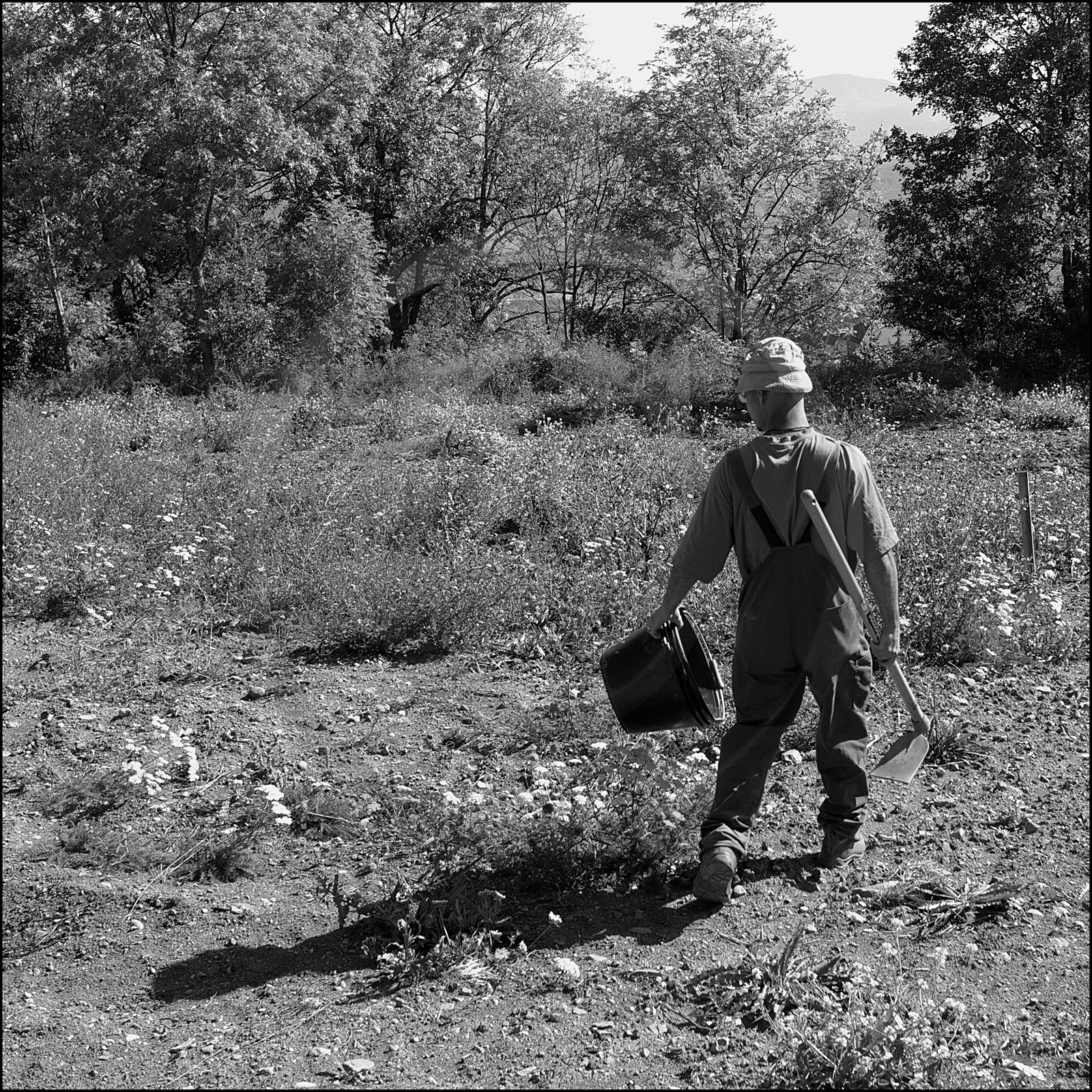 Maraichage à Pelleautier