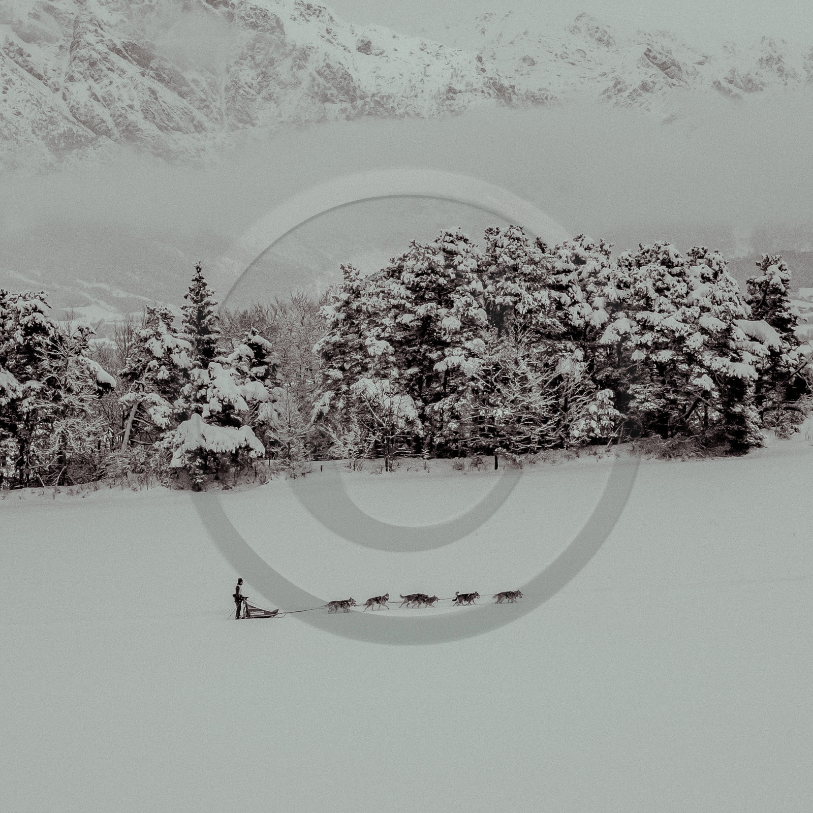 La Valgaude Traineau 2015