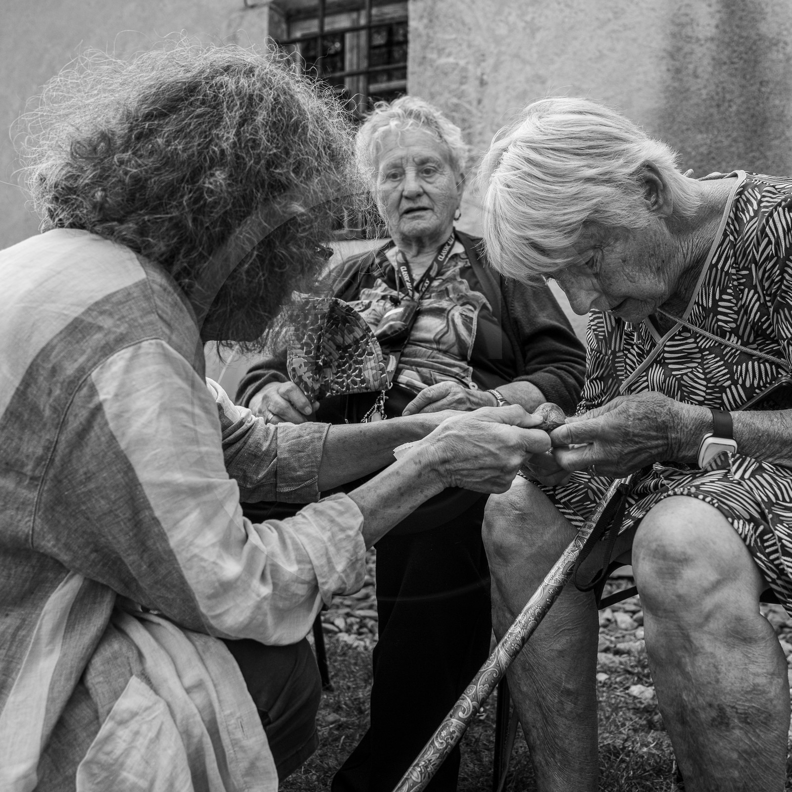 06 septembre 2023 : laine, couture et semis 06 septembre 2023 : laine, couture et semis