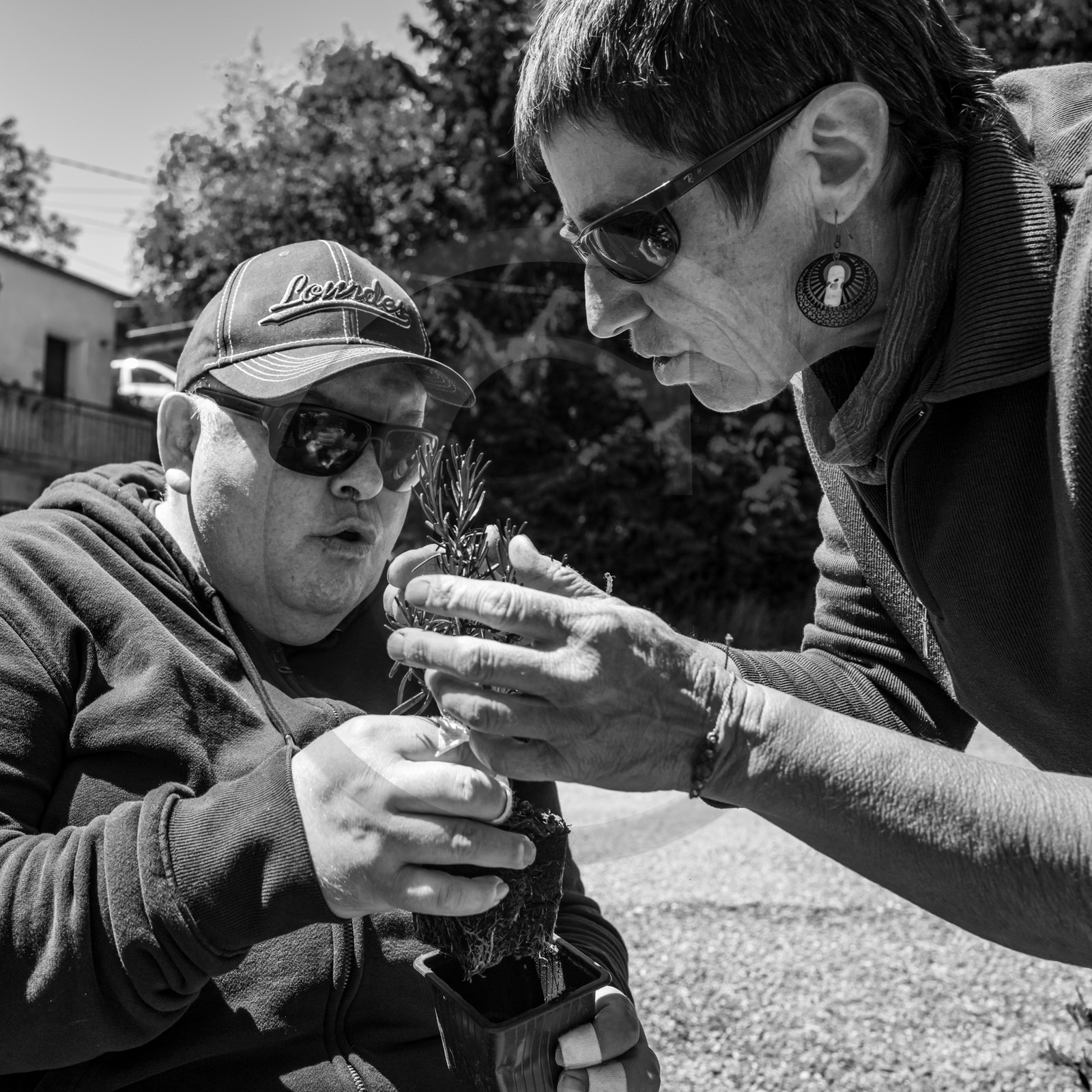 12 juin 2024 : création d'un jeu et jardinage