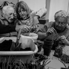 Atelier repiquage de plants de ciboulettes - 05 04 2017