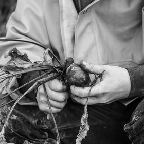 Maraichage biologique dans le Champsaur