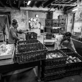 Maraichage biologique dans le Champsaur