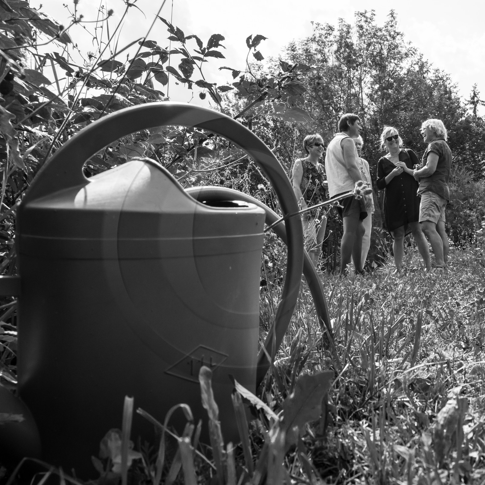 17 juillet 2019 : massages assis