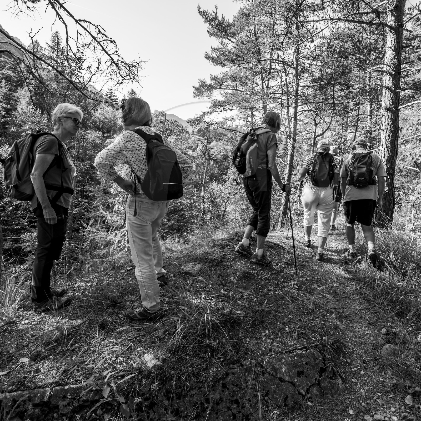 Arpenter le paysage avec Martin de la Soudière