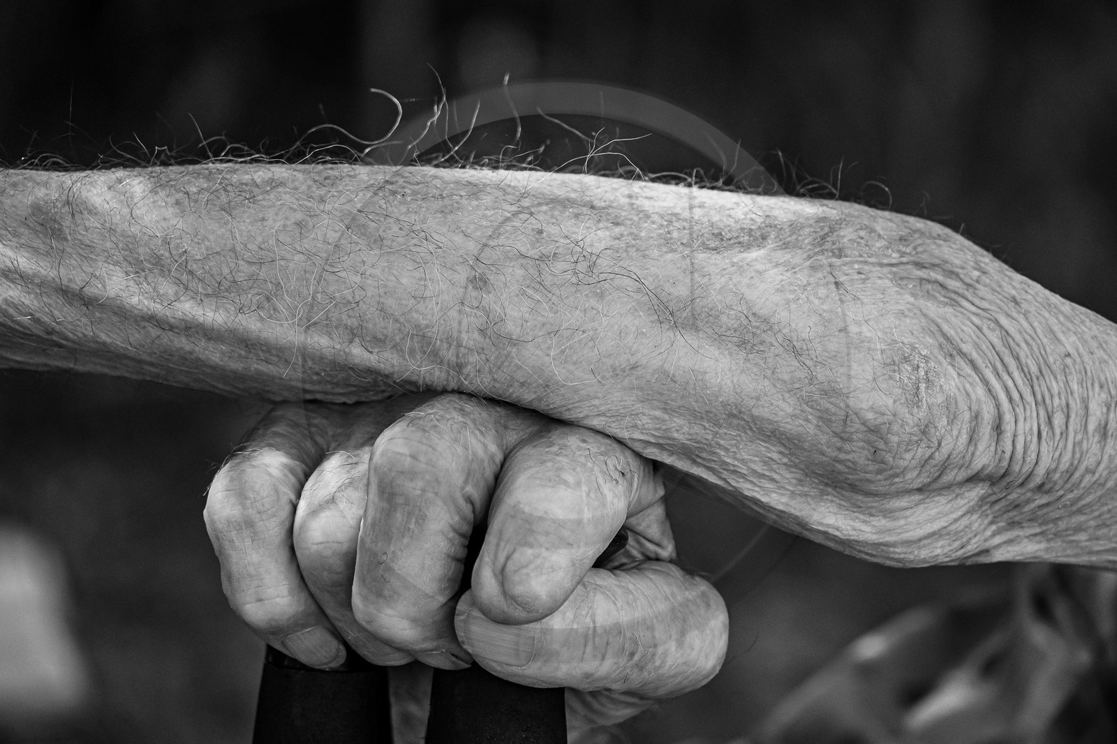 09 août 2023 : HydrOlique au jardin