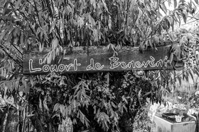 22 octobre 2025 : Aprés-midi détente