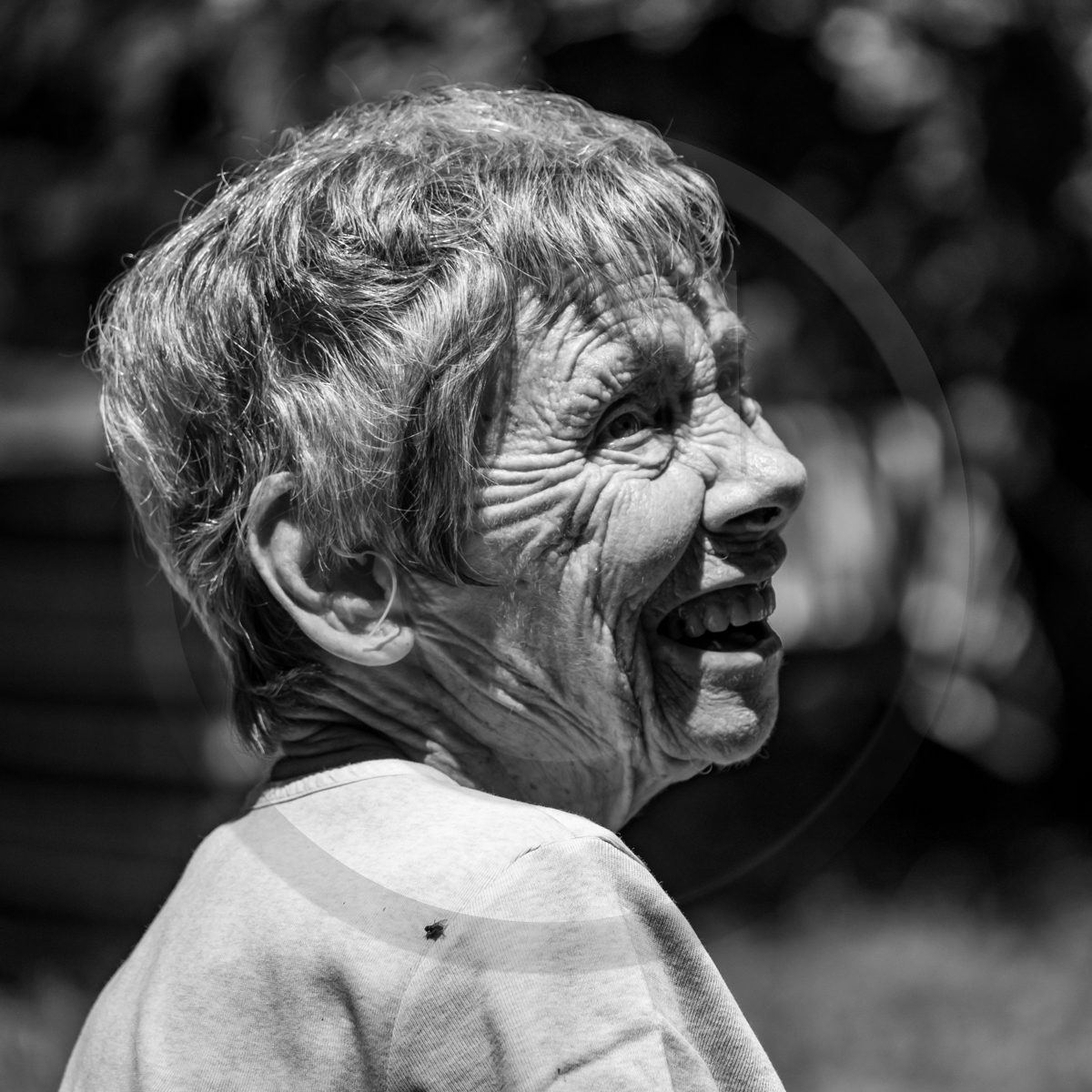Journée des aidants et des aidés