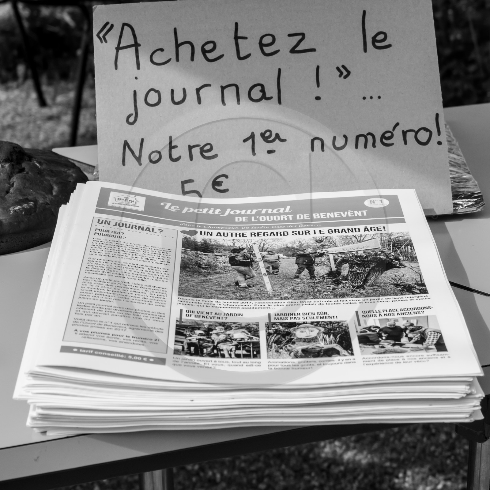 25 mai 2019 : Vide-Jardin de l'Ouort de Benevènt
