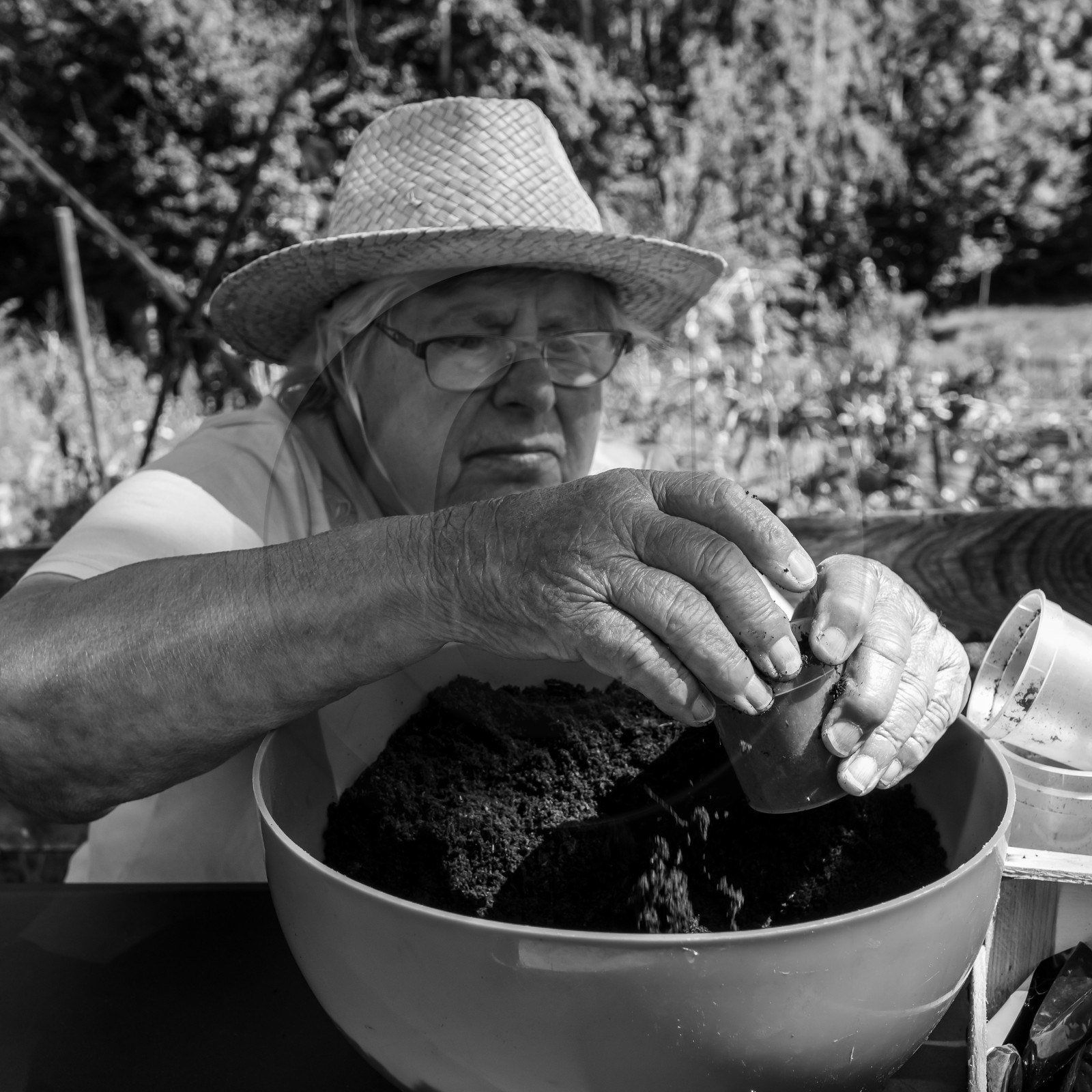 Activités au jardin