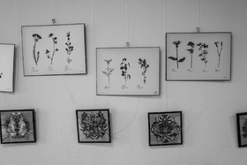 02 avril 2025 : c'est la reprise à l'Ouort