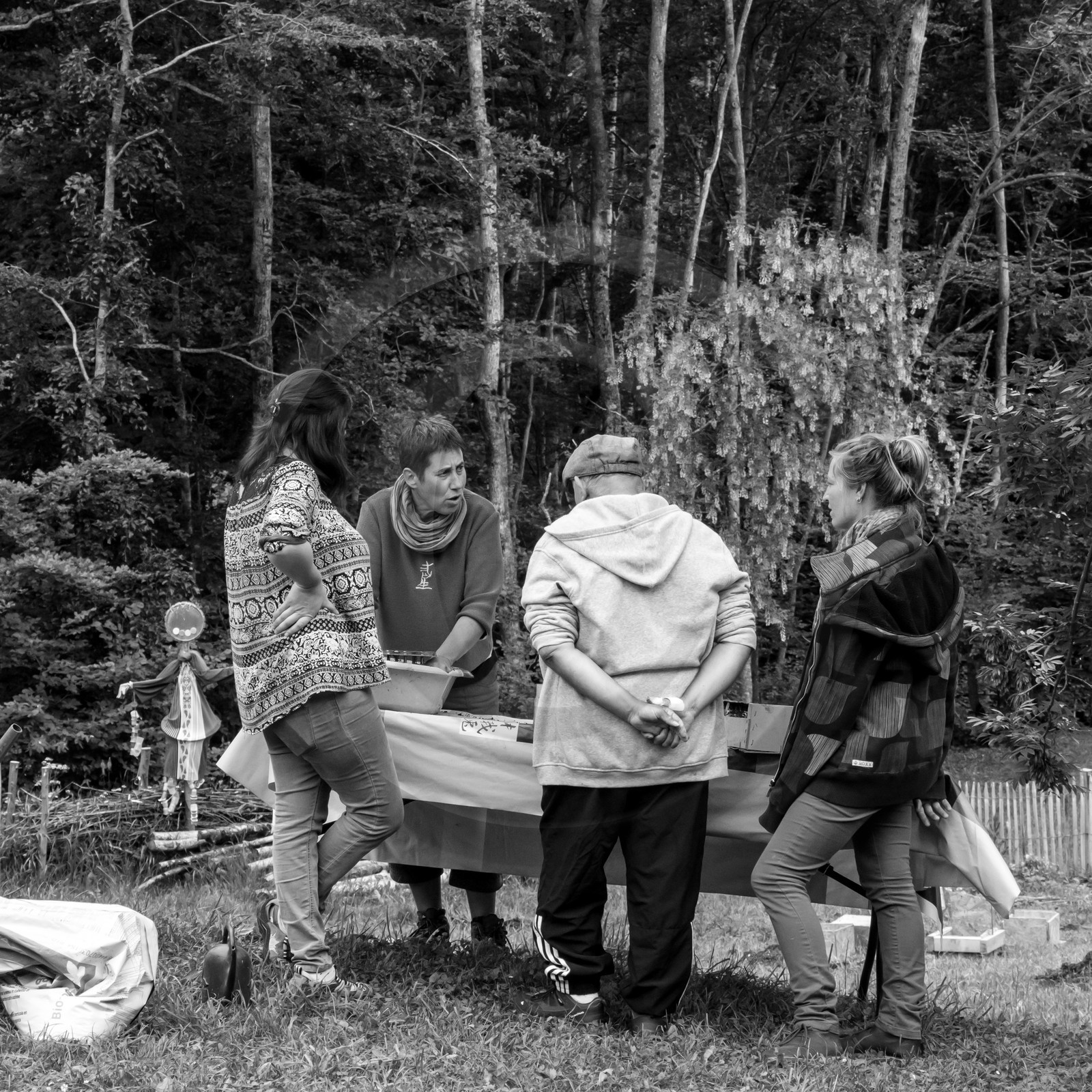 Son et semis Son et semis