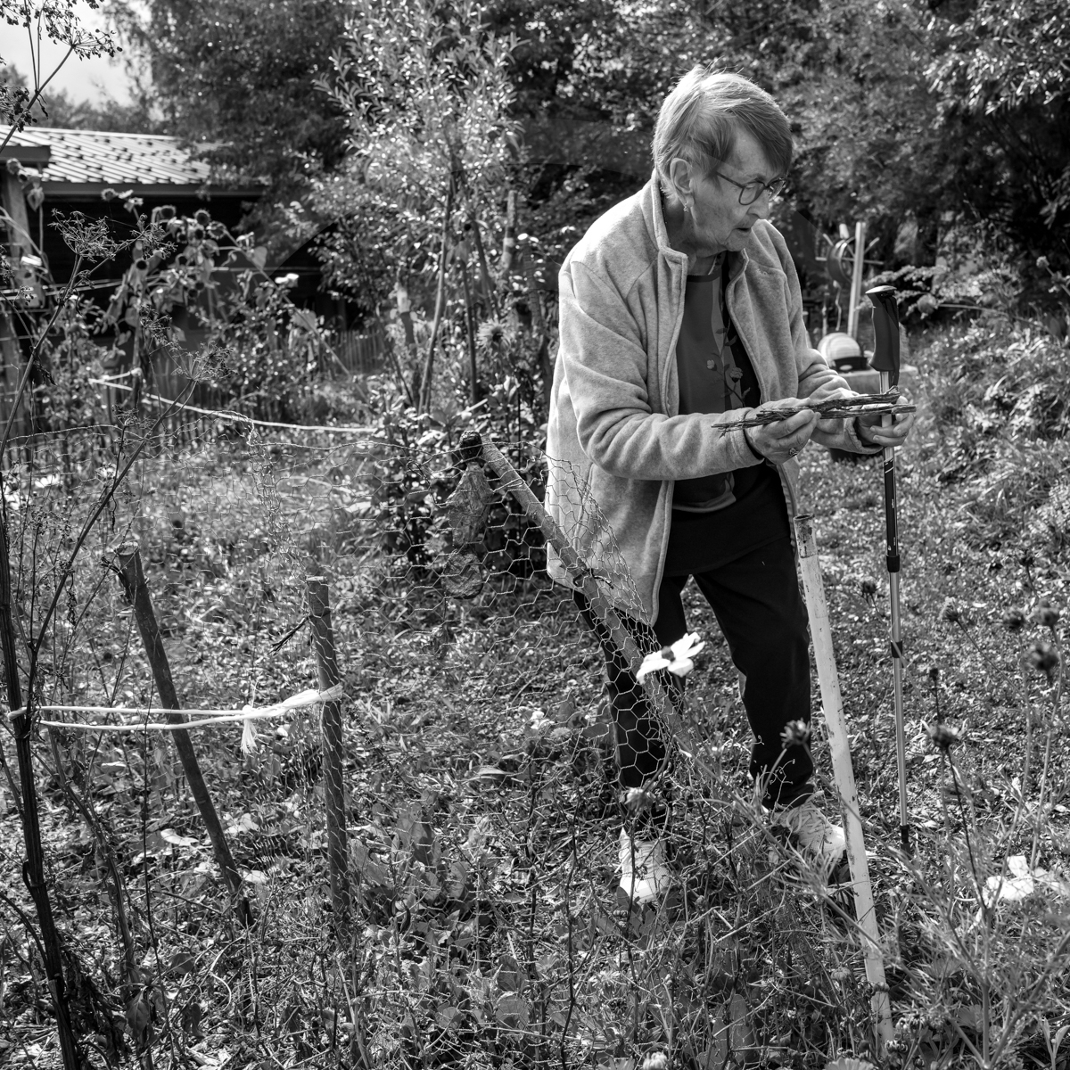 12 octobre 2022 : Land Art à l'Ouort