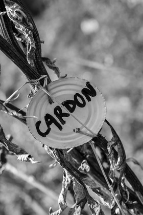 22 octobre 2025 : Aprés-midi détente